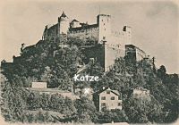 Salzburg Festung mit Lokal Katze